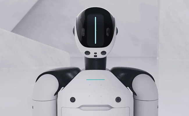 What services can we provide for robot automation and artificial intelligence? What services can we provide for robot automation and artificial intelligence?